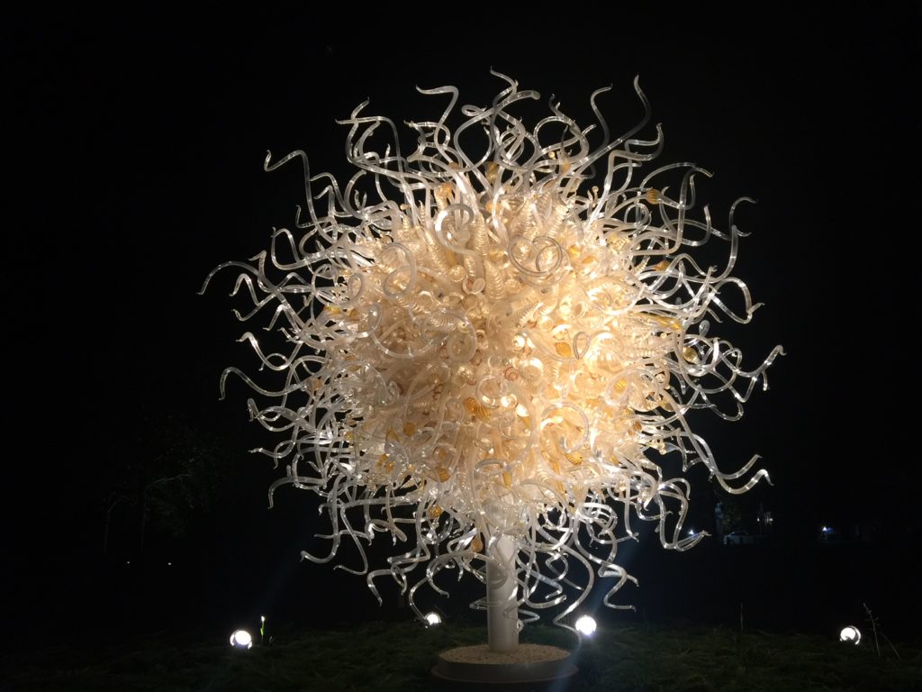 Biltmore Chihuly Nights